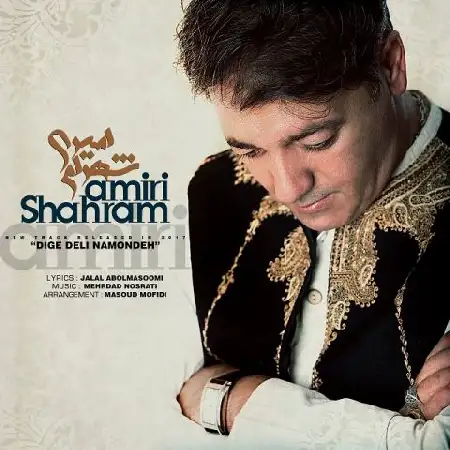 دانلود اهنگ شهرام امیری دیگه دلی نمونده