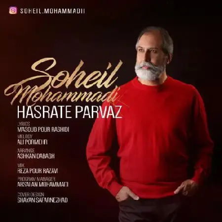 دانلود اهنگ سهیل محمدی حسرت پرواز