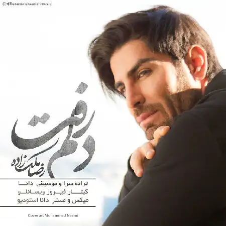 دانلود اهنگ رضا ملک زاده دلم رفت