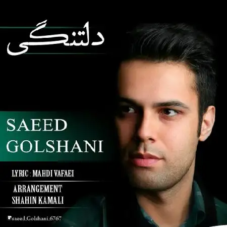 دانلود اهنگ سعید گلشنی دلتنگی