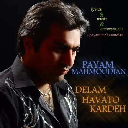 دانلود اهنگ پیام محمودیان دلم هواتو کرده