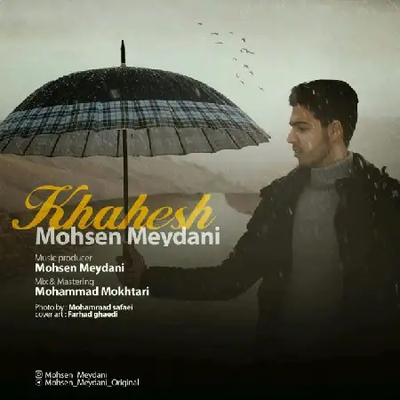 دانلود اهنگ محسن میدانی خواهش