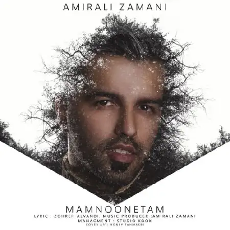 دانلود آلبوم تک اهنگ ها از امیرعلی زمانی