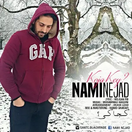 دانلود اهنگ نامی نژاد کجا کی