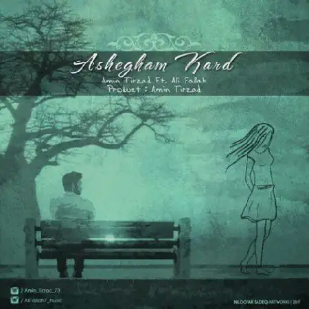 دانلود اهنگ امین تیرزاد و علی فلاح عاشقم کرد