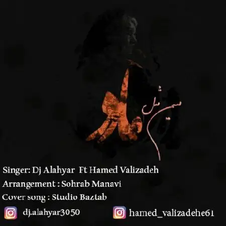 دانلود اهنگ دیجی الهیار و حامد ولی زاده میم مثل مادر