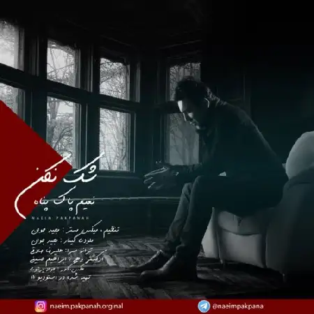 دانلود اهنگ نعیم پاکپناه شک نکن