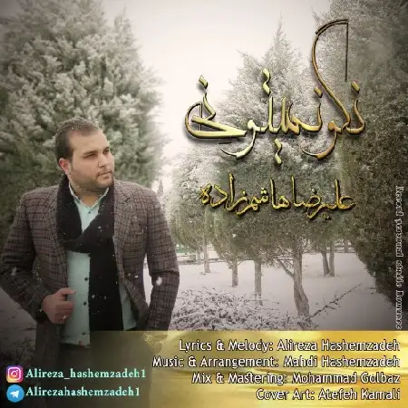 دانلود اهنگ علیرضا هاشم زاده نگو نمیتونی