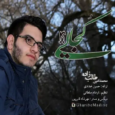 دانلود آلبوم تک اهنگ ها از امین طالب زاده