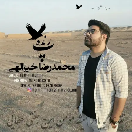 دانلود آلبوم تک اهنگ ها از محمدرضا خیرالهی