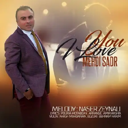 دانلود اهنگ مهدی صدر من دوست دارم