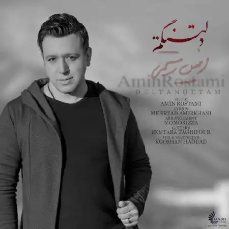 دانلود اهنگ امین رستمی دلتنگتم