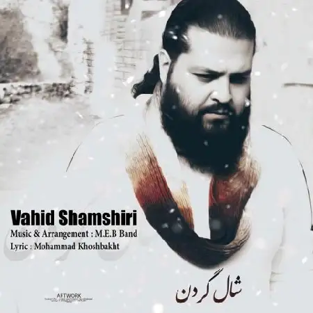 دانلود آلبوم تک اهنگ ها از وحید شمشیری