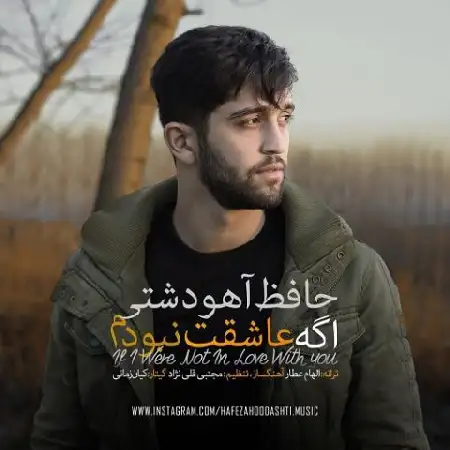 دانلود آلبوم تک اهنگ ها از حافظ آهودشتی