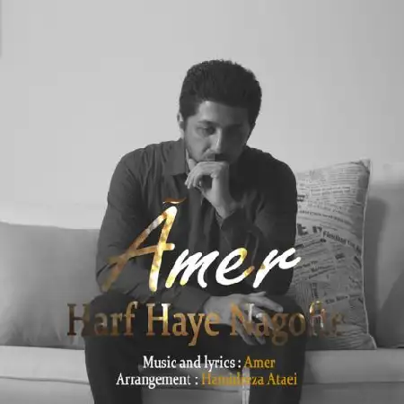 دانلود اهنگ عامر حرفهای نگفته