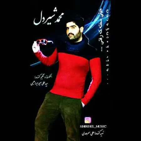 دانلود اهنگ ​محمد شیردل دوست دارم