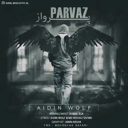 دانلود اهنگ آیدین ولف پرواز
