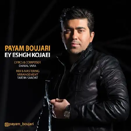 دانلود آلبوم تک اهنگ ها از پیام بوجاری