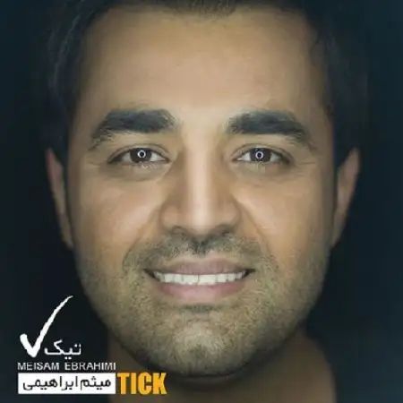 دانلود اهنگ میثم ابراهیمی تو باعث شدی