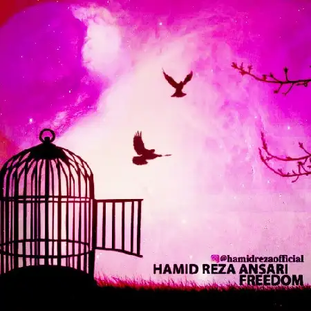 دانلود آلبوم تک اهنگ ها از بی کلام Freedom