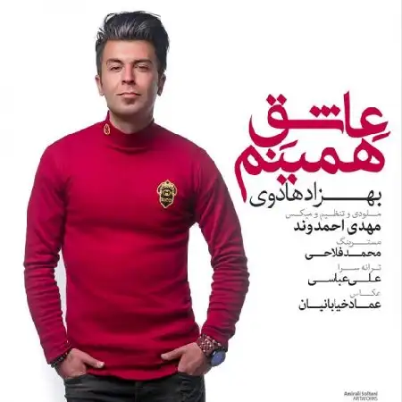 دانلود آلبوم تک اهنگ ها از بهزاد هادوی