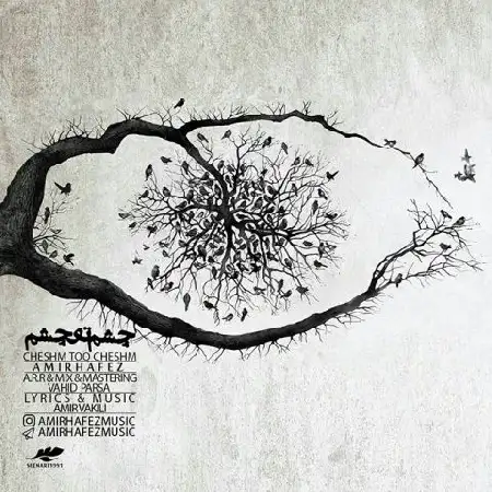 دانلود اهنگ امیرحافظ چشم تو چشم