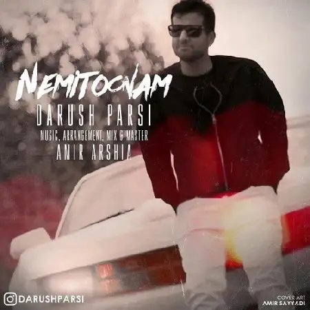 دانلود اهنگ داریوش پارسی نمیتونم