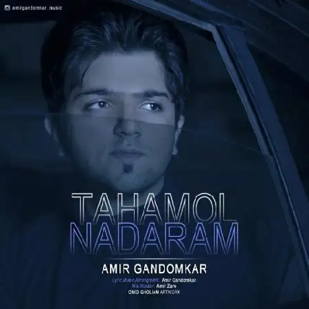 دانلود اهنگ امیر گندمکار تحمل ندارم