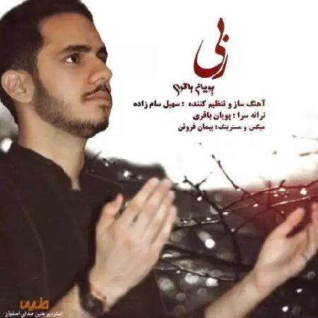 دانلود اهنگ پویان باقری ربی