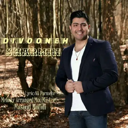 دانلود اهنگ شارمین دیوونه