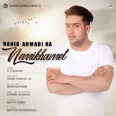 دانلود اهنگ وحید نمیخوامت