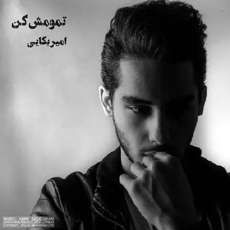 دانلود آلبوم تک اهنگ ها از امیر بکایی