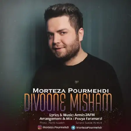 دانلود اهنگ مرتضی پورمهدی دیوونه میشم