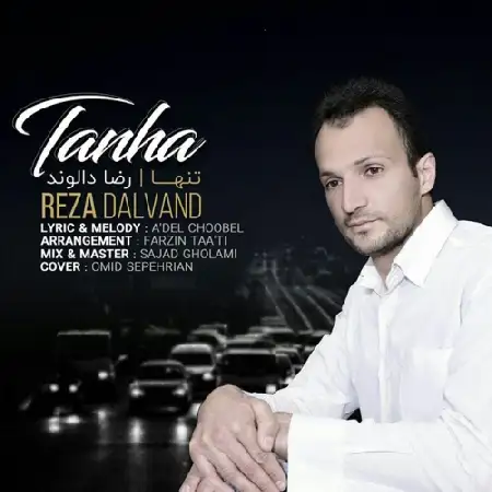 دانلود اهنگ رضا دالوند تنها