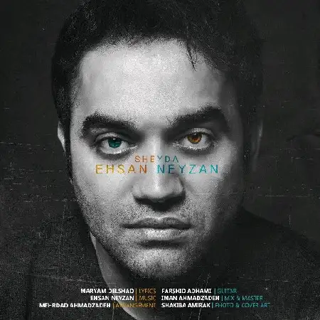 دانلود اهنگ احسان نی زن شیدا