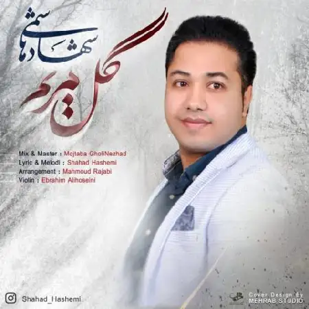 دانلود آلبوم تک اهنگ ها از شهاد هاشمی