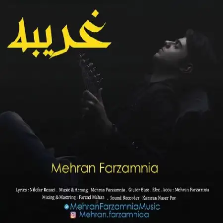 دانلود اهنگ مهران فرزام نیا غریبه