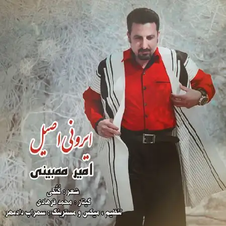 دانلود اهنگ امیر ممبینی ایرونی اصیل