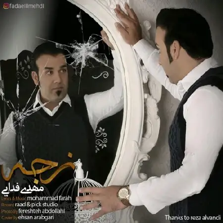 دانلود آلبوم تک اهنگ ها از مهدی فدایی