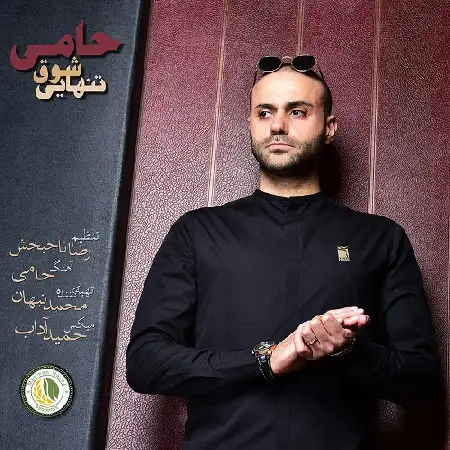 دانلود اهنگ حامی شوق تنهایی