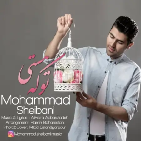 دانلود اهنگ محمد شیبانی تو که هستی