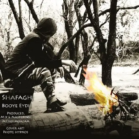 دانلود آلبوم تک اهنگ ها از شفق