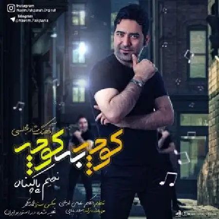 دانلود آلبوم تک اهنگ ها از نعیم پاکپناه