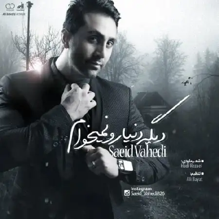 دانلود آلبوم تک اهنگ ها از سعید واحدی