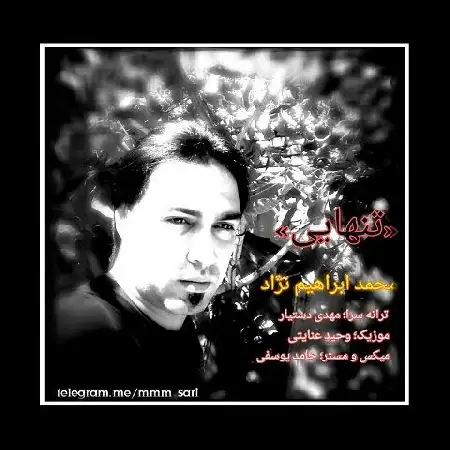 دانلود اهنگ محمد ابراهیم نژاد تنهایی