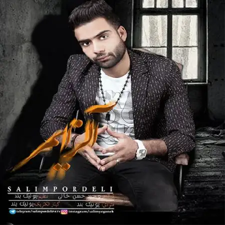 دانلود اهنگ سلیم پر دلی آلزایمر