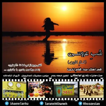 دانلود آلبوم تک اهنگ ها از شاعرتنها
