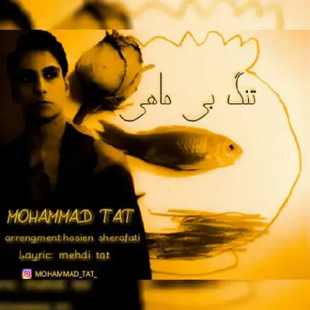 دانلود اهنگ محمد تات تنگ بی ماهی