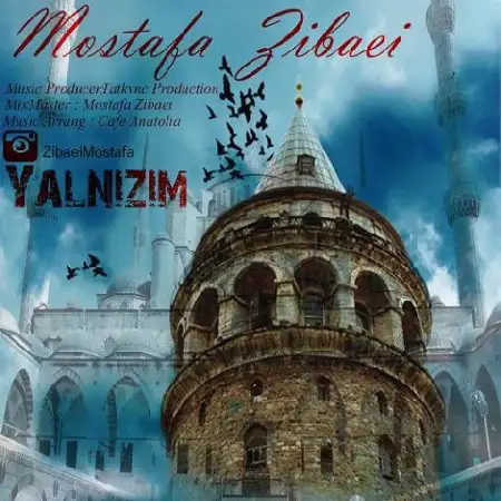 دانلود اهنگ مصطفی زیبایی Yalnizim
