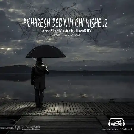 دانلود آلبوم تک اهنگ ها از رضا دی آر وی